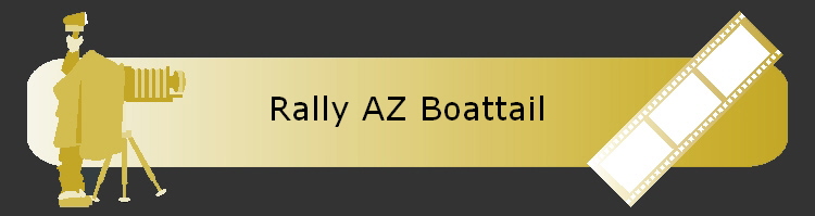 Rally AZ Boattail